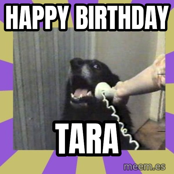 Yes, this is dog! meme: Happy Birthday / Tara