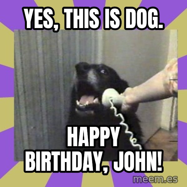 Yes, this is dog! meme: Yes, This is dog. / Happy birthday, John!