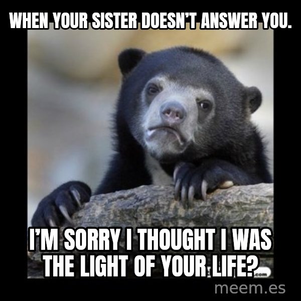 sad bear meme: When your sister doesn’t answer you. / I’m sorry I thought I was the light of your life?