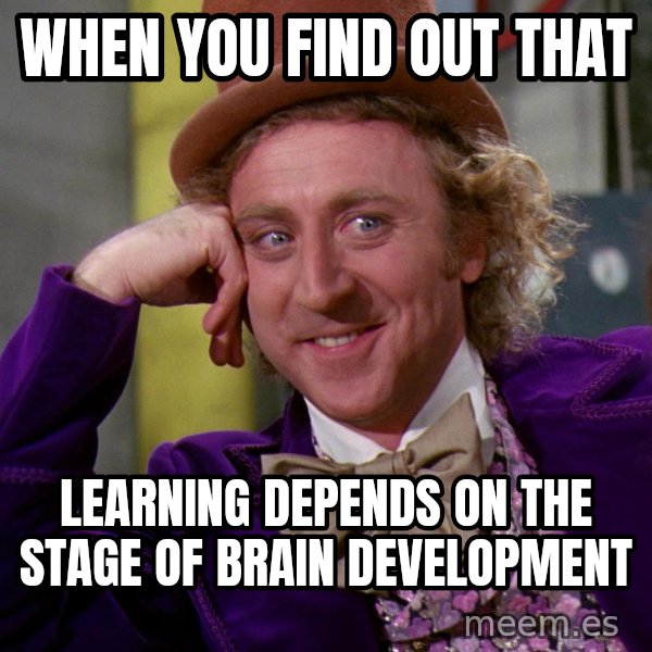 Willy Wonka meme: When you find out that / learning depends on the stage of brain development