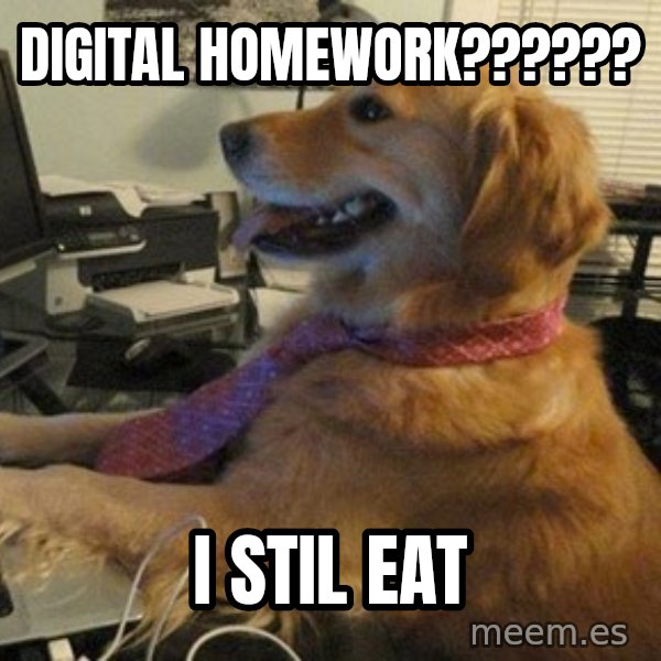 I have no idea what I'm doing - Dog with Tie meme: Digital Homework?????? / I stil eat