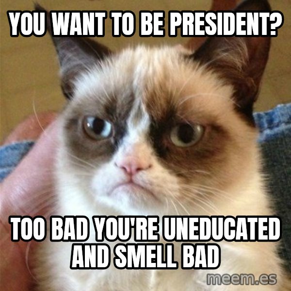 Grumpy Cat  meme: You want to be president? / Too bad you're uneducated and smell bad