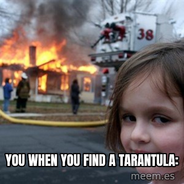 Disaster Girl meme: You when you find a tarantula:
