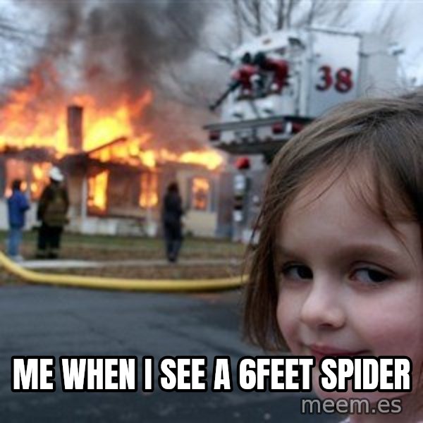 Disaster Girl meme: me when i see a 6feet spider