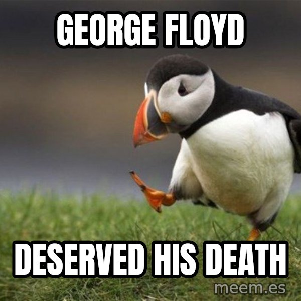 Unpopular Opinion Puffin meme: george floyd / deserved his death