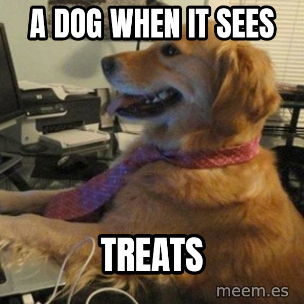 I have no idea what I'm doing - Dog with Tie meme: a dog when it sees / treats