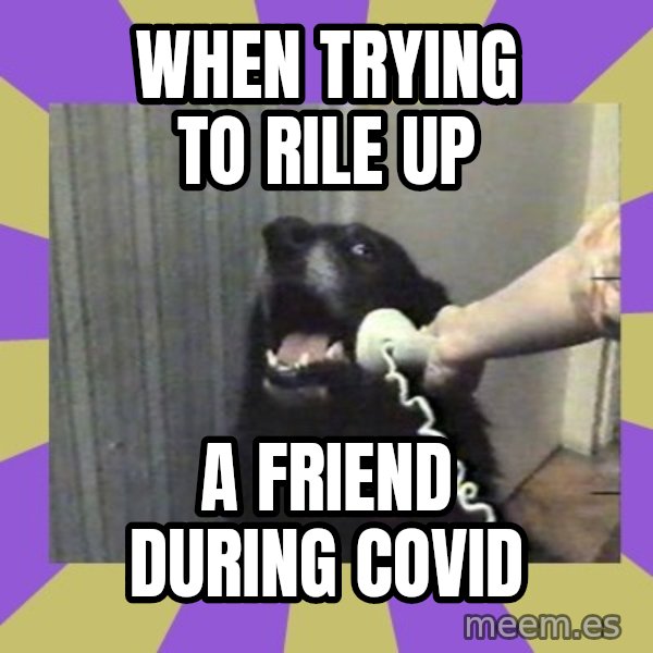 Yes, this is dog! meme: when trying to rile up / a friend during COVID