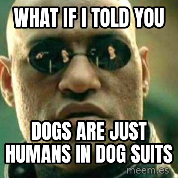 What If I Told You meme: what if I told you / Dogs are just humans in dog suits