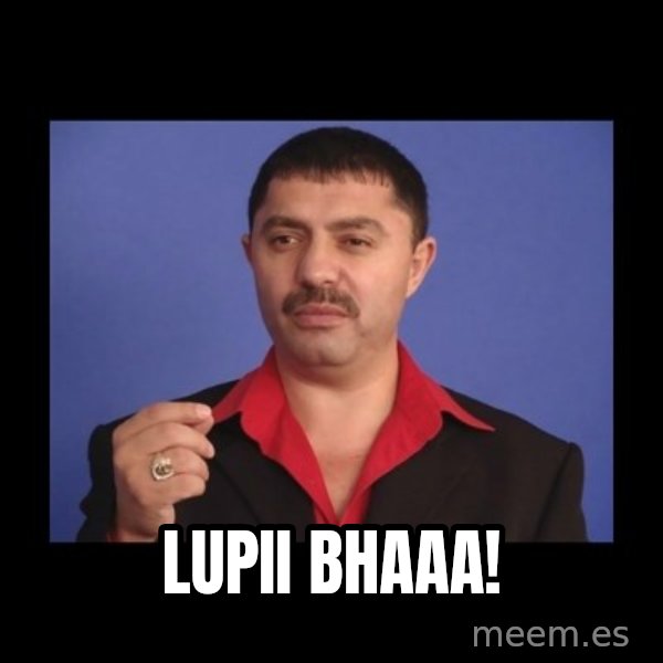 Manelistul Nicolae Guta meme: Lupii bhaaa!