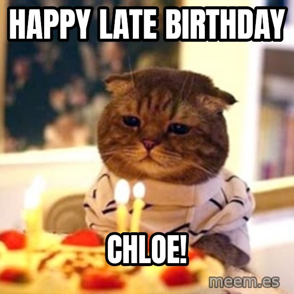 Birthday Cat meme: Happy late birthday / chloe!