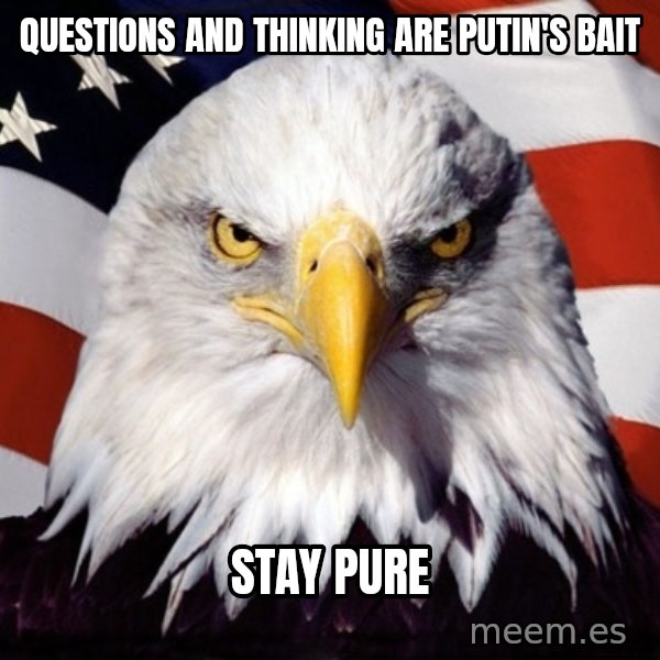 American Pride Eagle meme: questions and thinking are putin's bait / stay pure