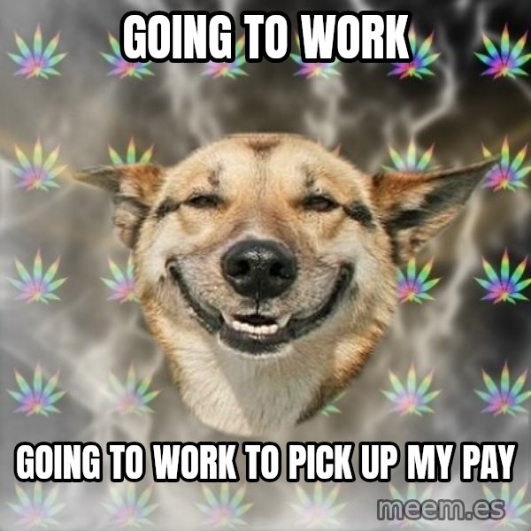 Stoner Dog meme: Going to worK / Going to work to pick up my pay