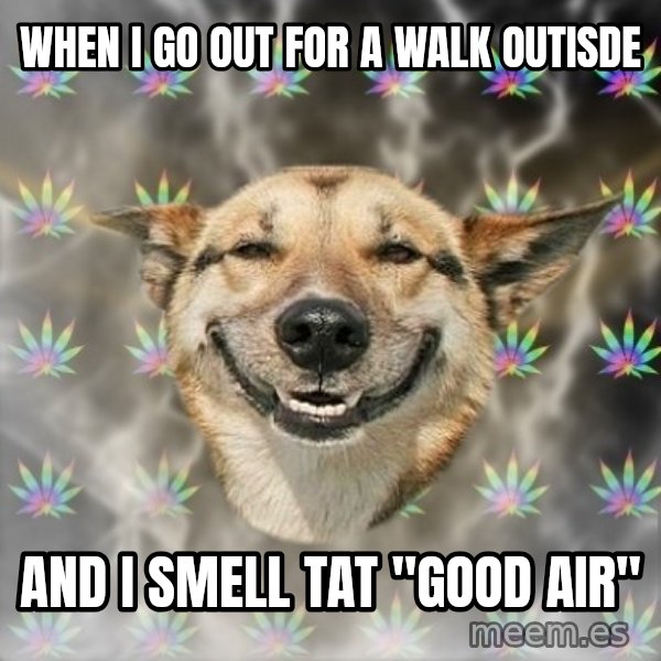 Stoner Dog meme: when i go out for a walk outisde / and i smell tat "Good air"