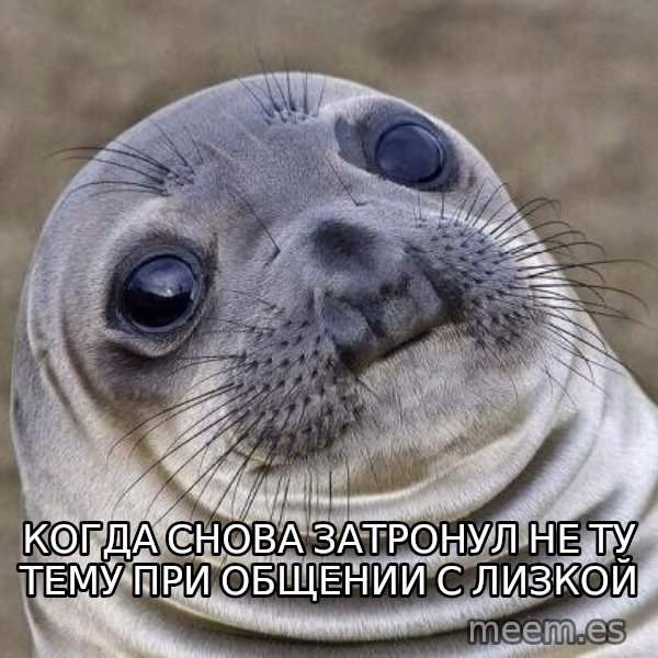 Awkward Seal meme: Когда снова затронул не ту тему при общении с Лизкой