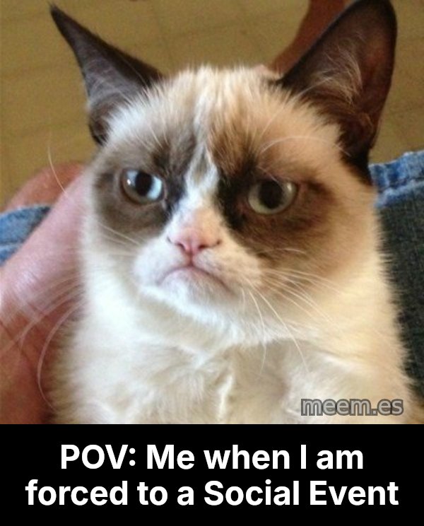 Grumpy Cat  meme: POV: Me when I am forced to a Social Event