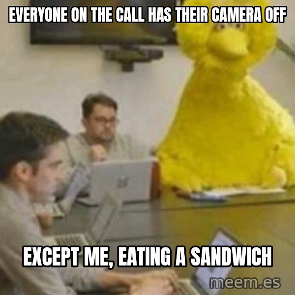 Big Bird In Meeting meme: Everyone on the call has their camera off / Except me, eating a sandwich