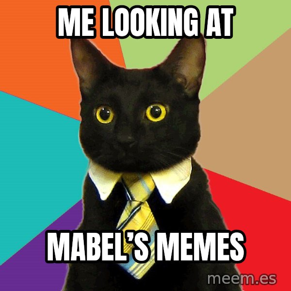 Business Cat meme: Me looking at / Mabel’s memes