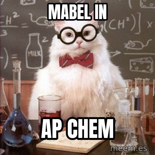 Chemistry Cat meme: Mabel in / Ap chem