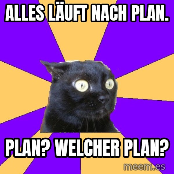 Anxiety Cat meme: Alles läuft nach Plan. / Plan? Welcher Plan?