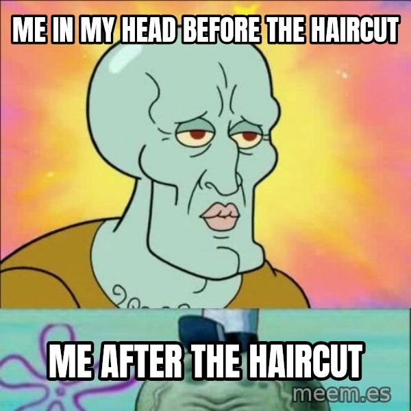 Handsome Squidward meme: Me in my head before the haircut / me after the haircut