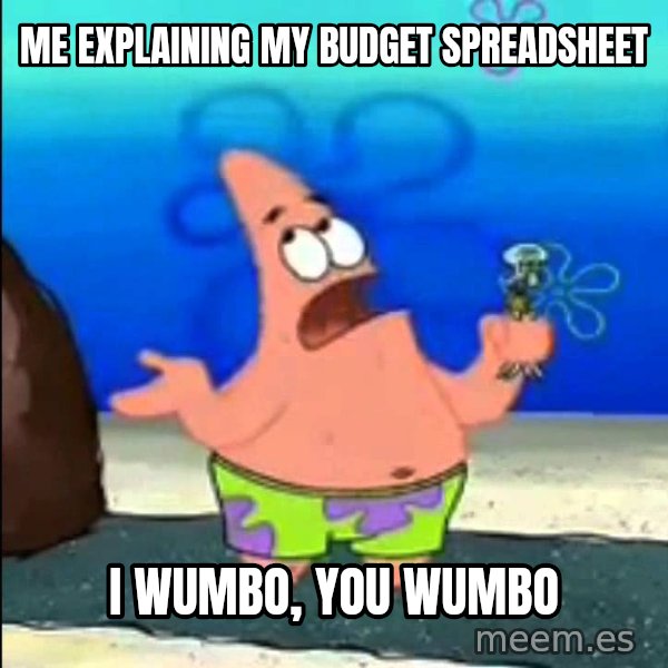 I Wumbo, You Wumbo meme: Me explaining my budget spreadsheet / I wumbo, you wumbo