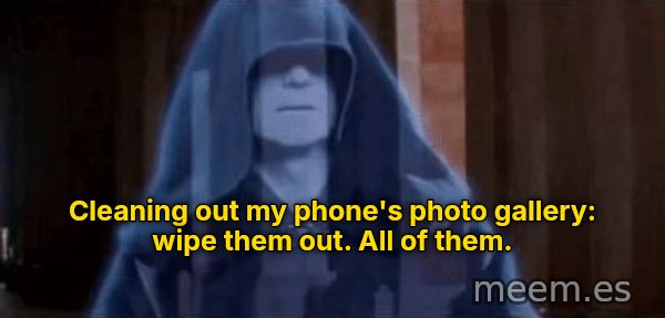Wipe Them Out, All of Them meme: Cleaning out my phone's photo gallery: wipe them out. All of them.