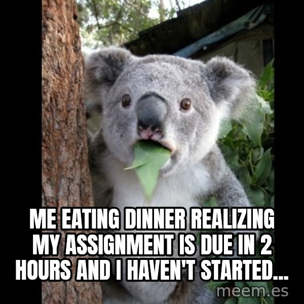 Koala can't believe it meme: me eating dinner realizing my assignment is due in 2 hours and i haven't started...