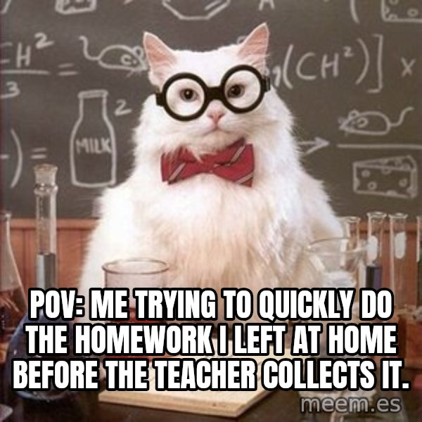 Chemistry Cat meme: Pov: me trying to quickly do the homework I left at home before the teacher collects it.