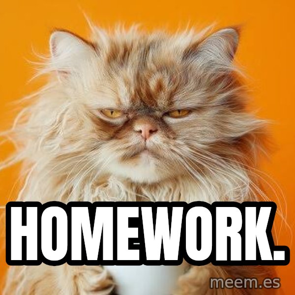 Response to homework meme: homework.