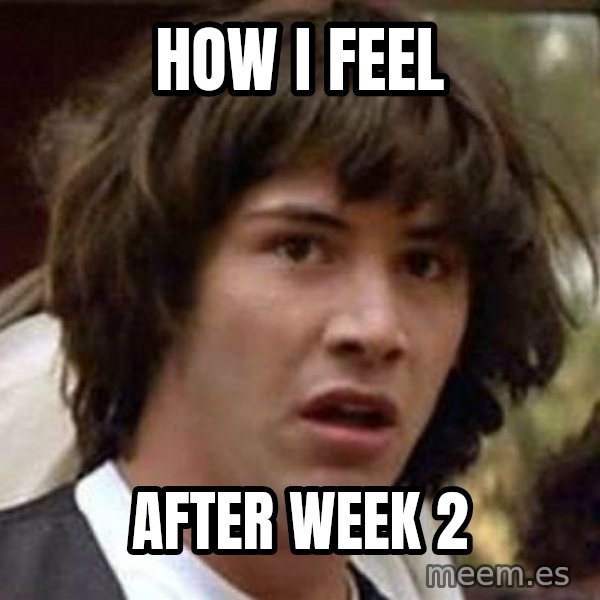 Conspiracy Keanu meme: How I feel / After Week 2