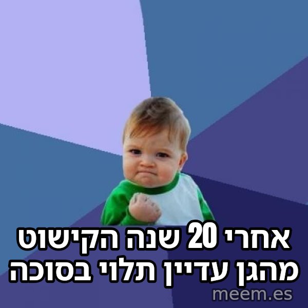 הילד המצליח (Success Kid) meme: אחרי 20 שנה הקישוט מהגן עדיין תלוי בסוכה