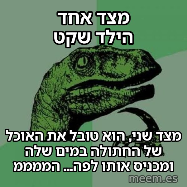 הפילוסורפטור meme: מצד אחד הילד שקט / מצד שני, הוא טובל את האוכל של החתולה במים שלה ומכניס אותו לפה... הממממ