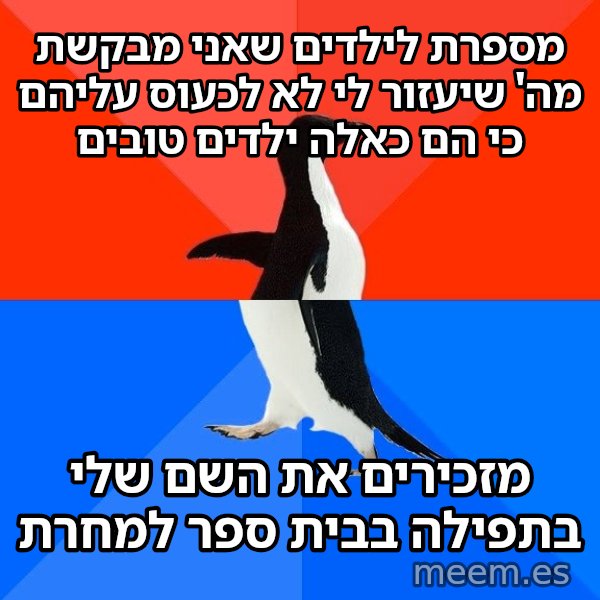 הפינגווין המביך meme: מספרת לילדים שאני מבקשת מה' שיעזור לי לא לכעוס עליהם כי הם כאלה ילדים טובים / מזכירים את השם שלי בתפילה בבית ספר למחרת