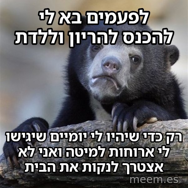 דוב הווידויים meme: לפעמים בא לי להכנס להריון וללדת / רק כדי שיהיו לי יומיים שיגישו לי ארוחות למיטה ואני לא אצטרך לנקות את הבית