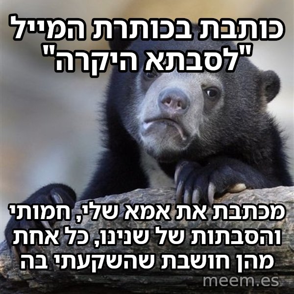 דוב הווידויים meme: כותבת בכותרת המייל "לסבתא היקרה" / מכתבת את אמא שלי, חמותי והסבתות של שנינו, כל אחת מהן חושבת שהשקעתי בה