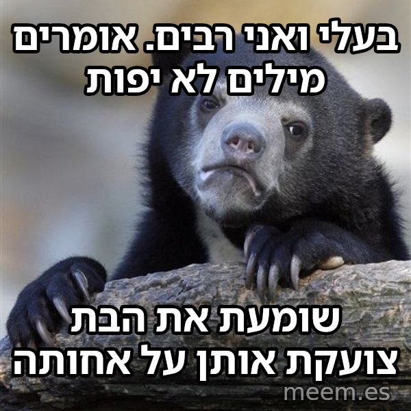 דוב הווידויים meme: בעלי ואני רבים. אומרים מילים לא יפות / שומעת את הבת צועקת אותן על אחותה