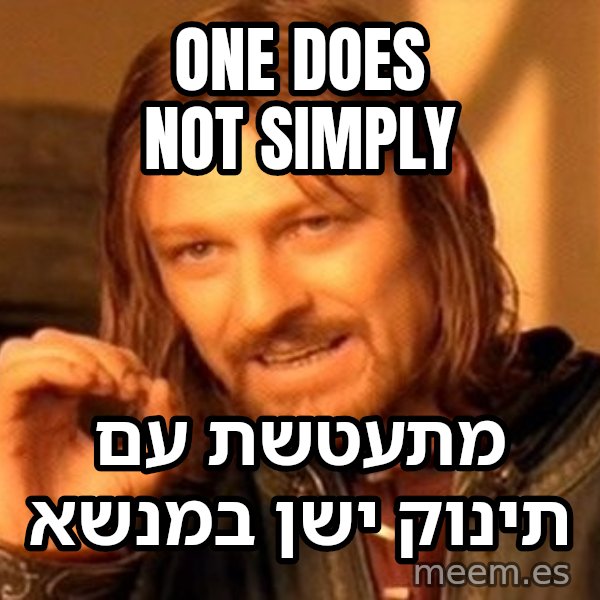 בורומיר - אי אפשר פשוט meme: One does not simply / מתעטשת עם תינוק ישן במנשא