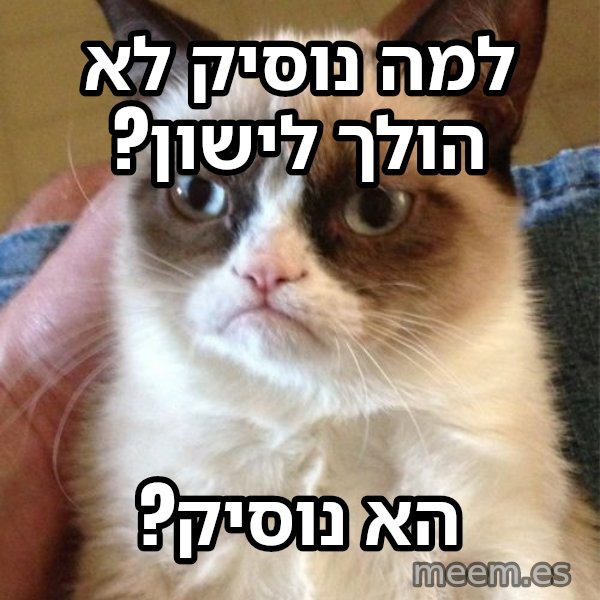 החתולה הזועפת meme: למה נוסיק לא הולך לישון? / הא נוסיק?