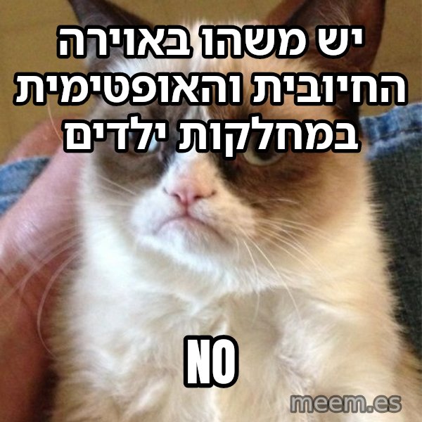 החתולה הזועפת meme: יש משהו באוירה החיובית והאופטימית במחלקות ילדים / NO
