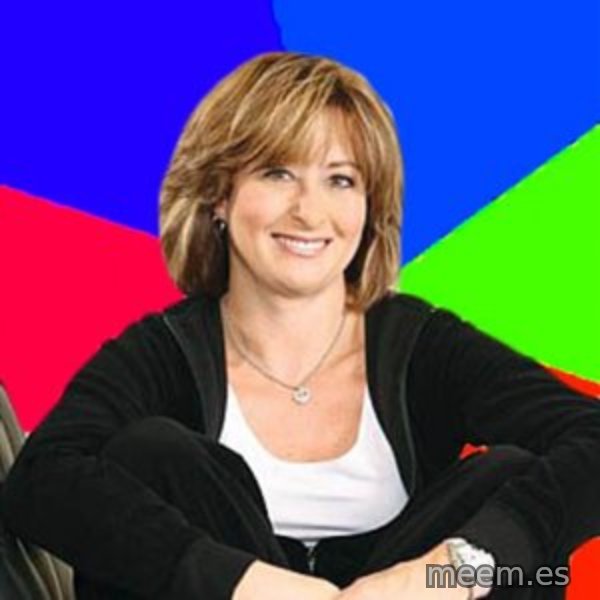 Sheltering Suburban Mom meme template