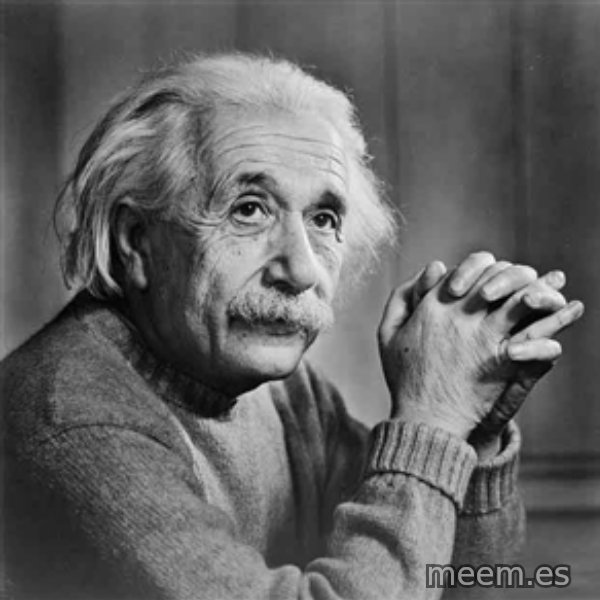 Albert Einstein meme template