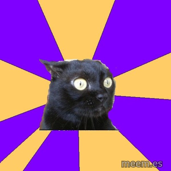Anxiety Cat meme template