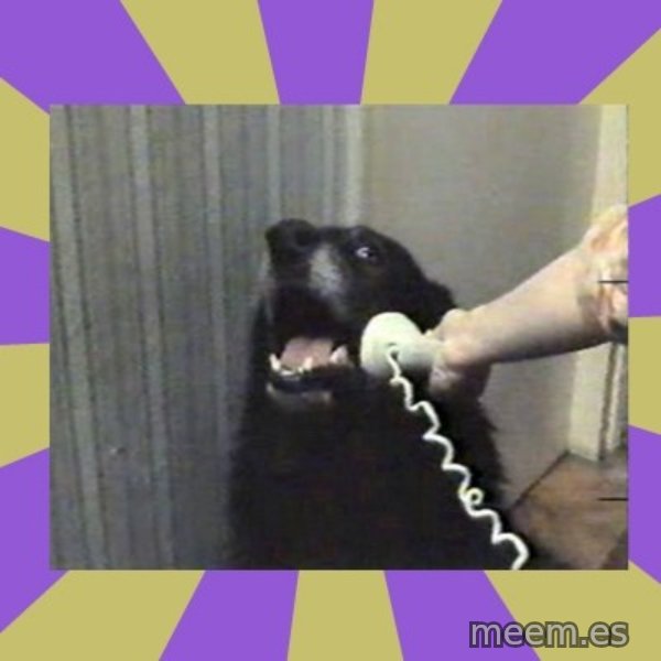 Yes, this is dog! meme template