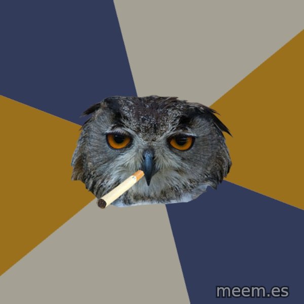 Art Student Owl meme template