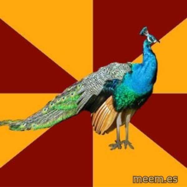 Thespian Peacock meme template