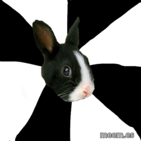 Roleplaying Rabbit meme template
