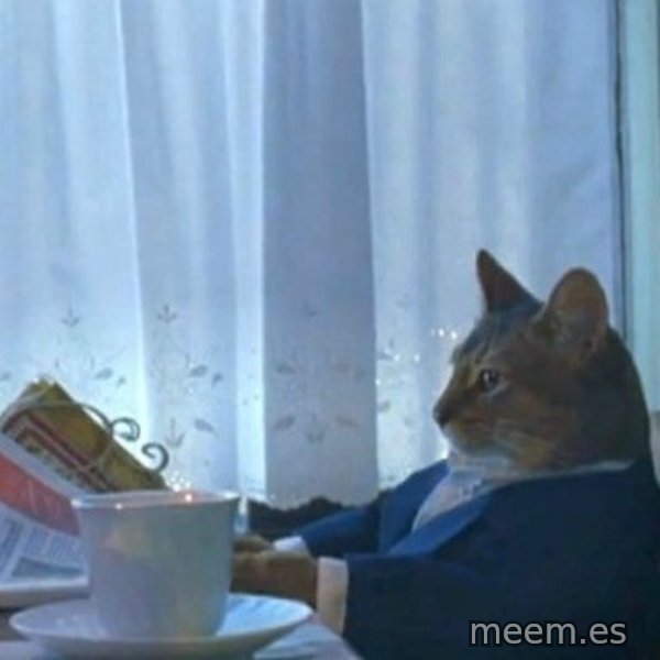 newspaper cat realization meme template