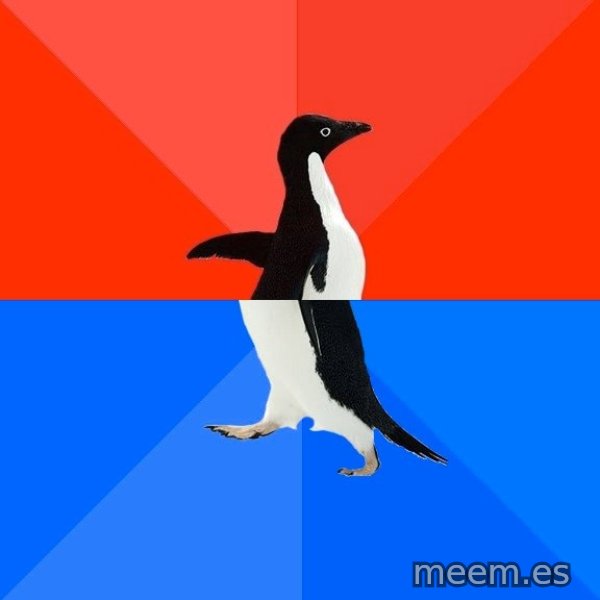 הפינגווין המביך meme template